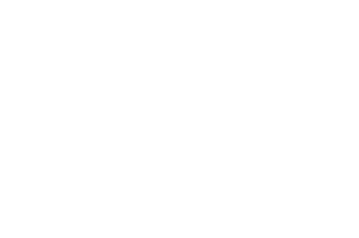 OFFICIAL SELECTION - Studio City International Film TV Festival - 2017 (1)